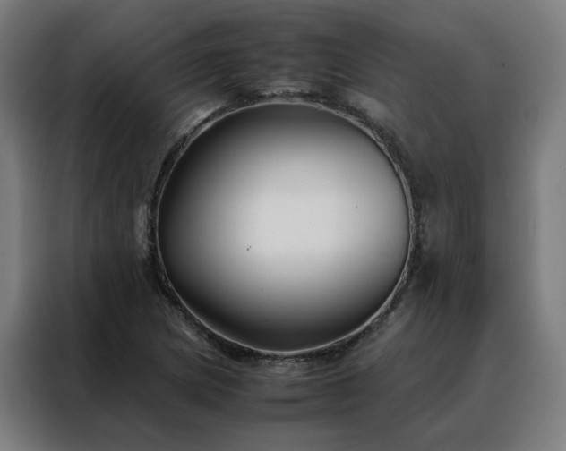 X0000088171217200705221615