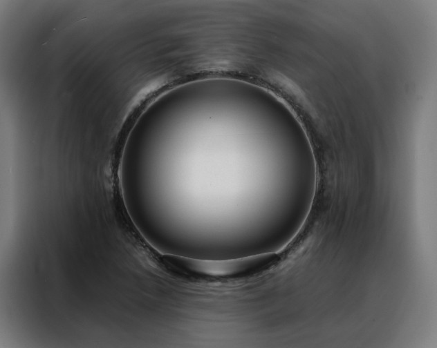 X0000088171218200705221615