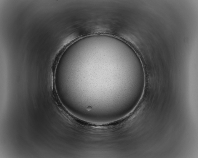 X0000088171219200705221615