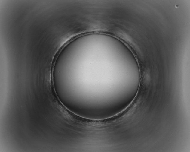 X0000088171220200705221615