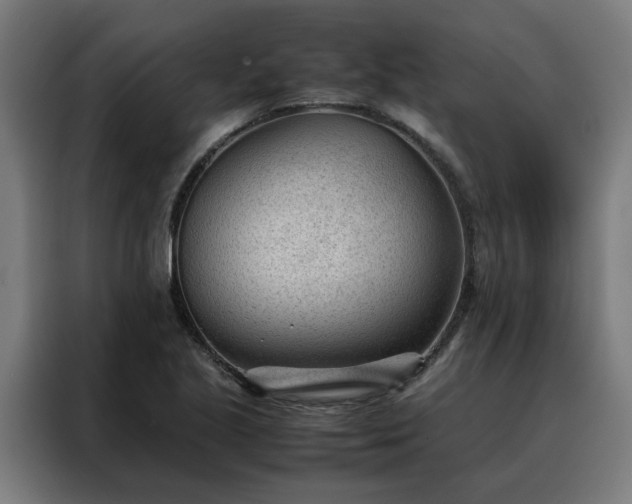 X0000088171221200705221615