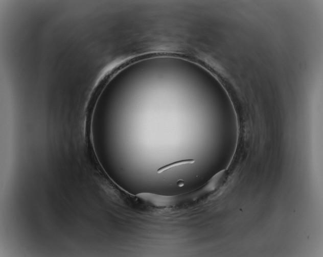 X0000088171222200705221615