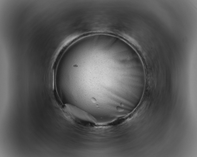 X0000088171223200705221615