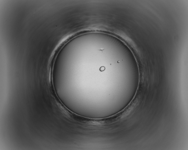 X0000088171224200705221615