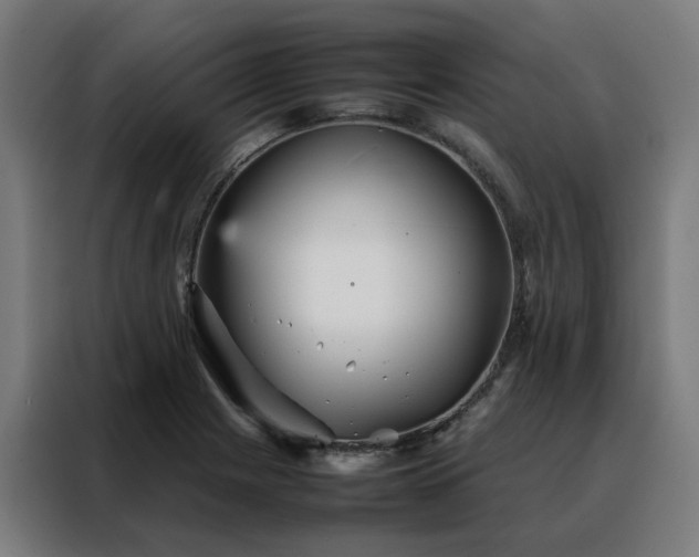 X0000088171225200705221615