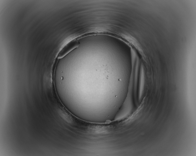 X0000088171226200705221615