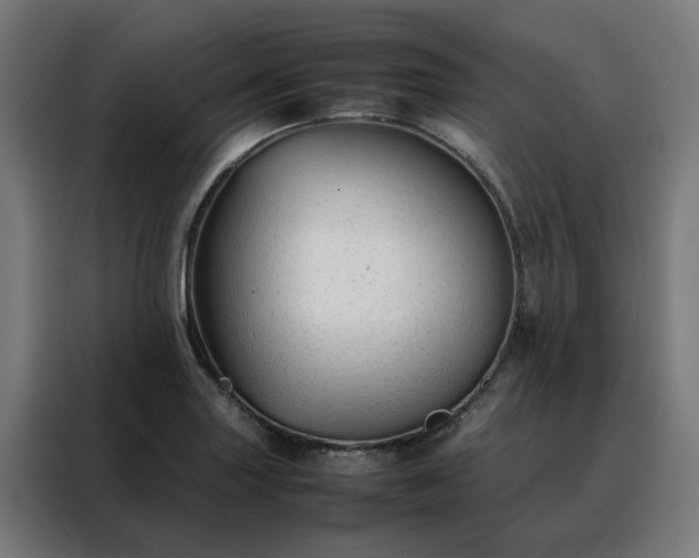 X0000088171227200705221615