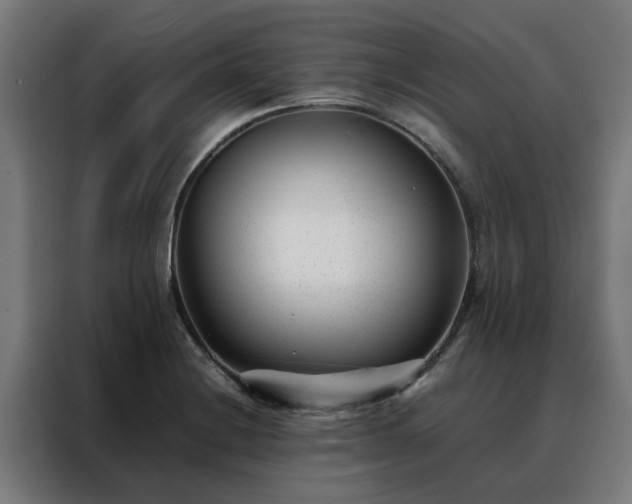 X0000088171228200705221615