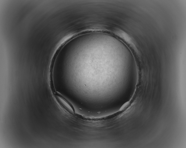 X0000088171229200705221615