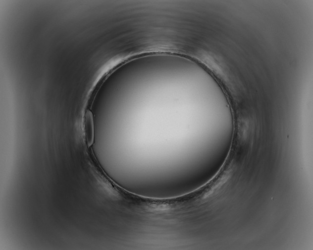 X0000088171230200705221615