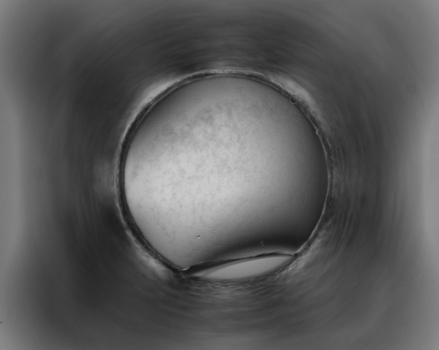 X0000088171231200705221615