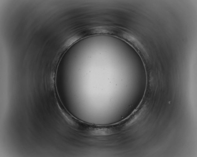 X0000088171233200705221615