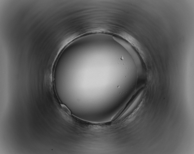 X0000088171234200705221615