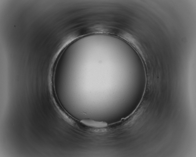 X0000088171235200705221615