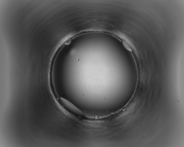 X0000088171237200705221615