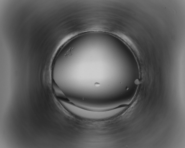 X0000088171238200705221615