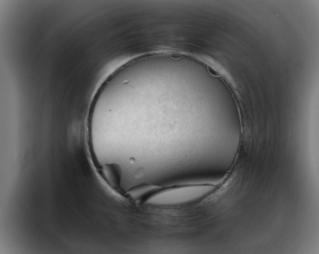 X0000088171239200705221615