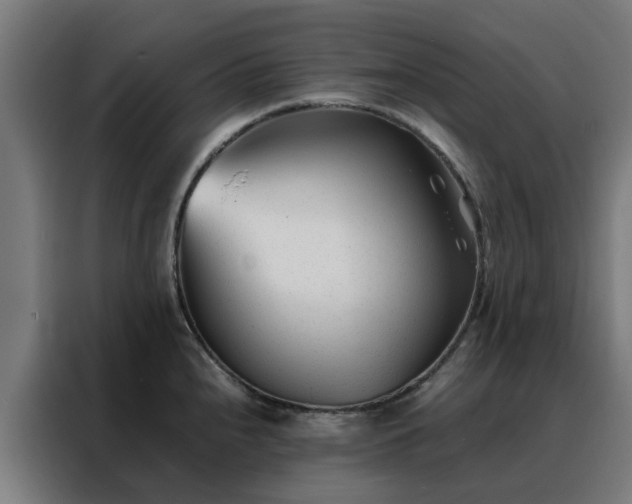 X0000088171240200705221615