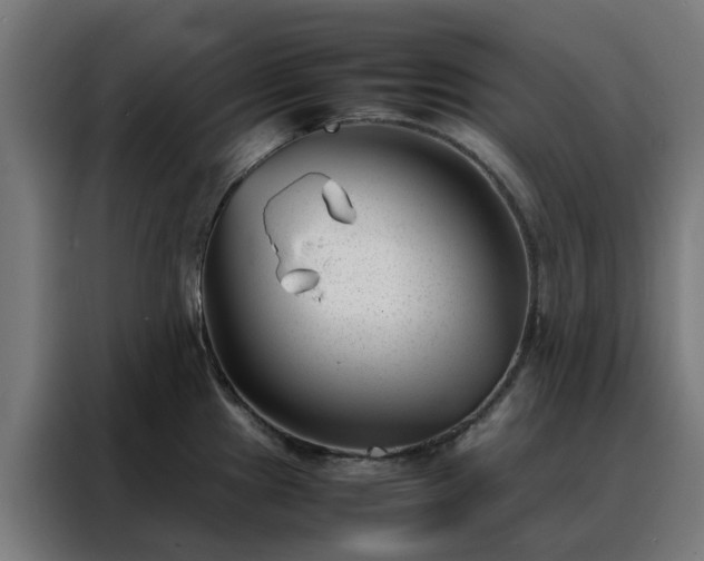 X0000088171241200705221615