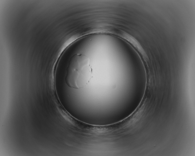 X0000088171242200705221615