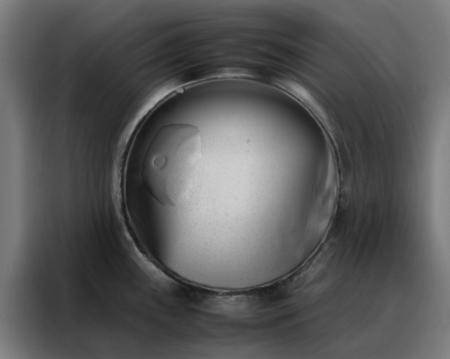 X0000088171243200705221615