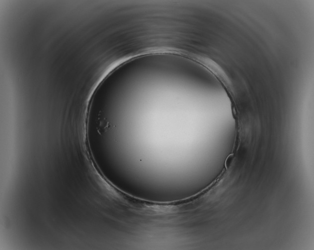 X0000088171244200705221615