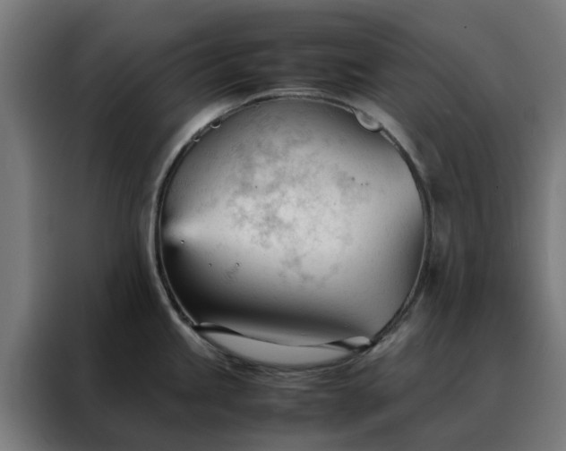 X0000088171245200705221615