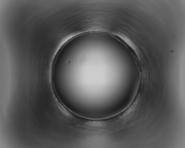 X0000088171246200705221615