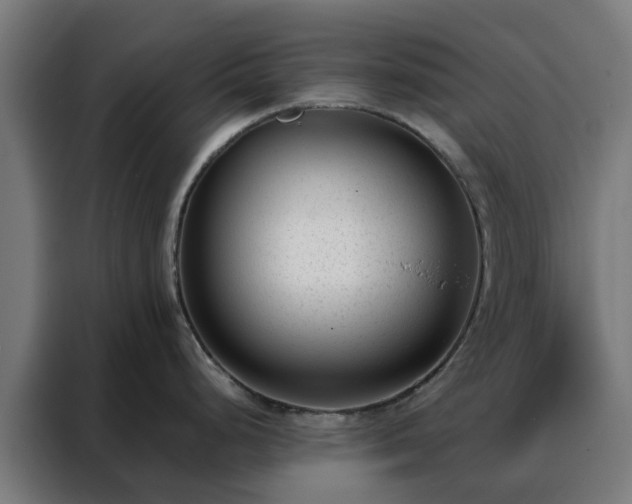 X0000088171248200705221615