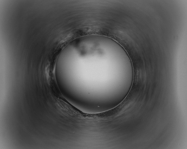 X0000088171250200705221615