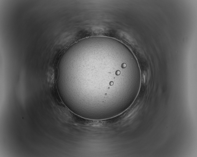 X0000088171251200705221615