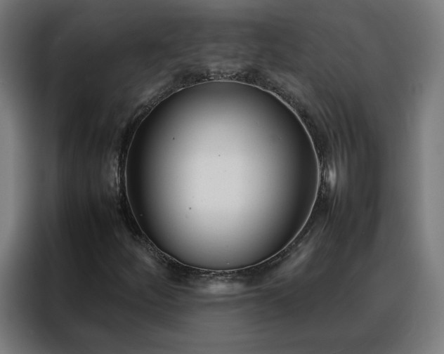 X0000088171252200705221615