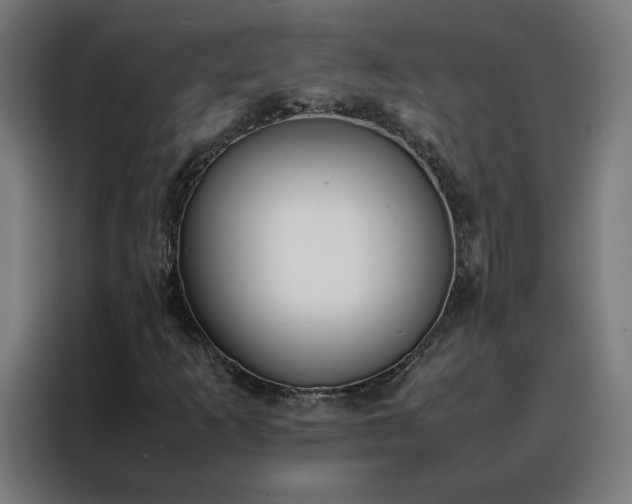 X0000088171253200705221615