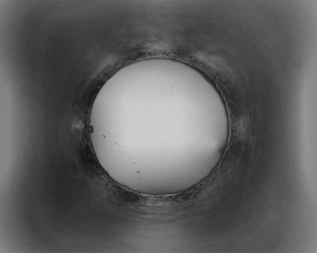 X0000088171254200705221615