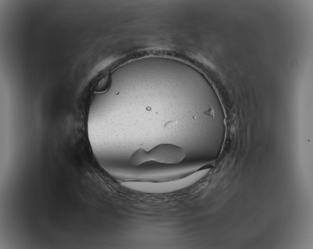 X0000088171255200705221615