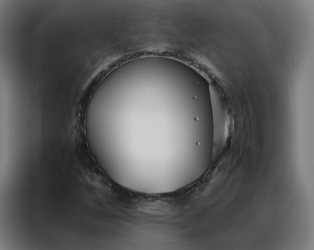 X0000088171256200705221615