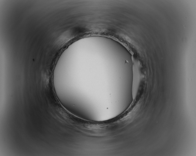 X0000088171257200705221614