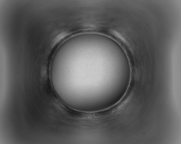 X0000088171259200705221614