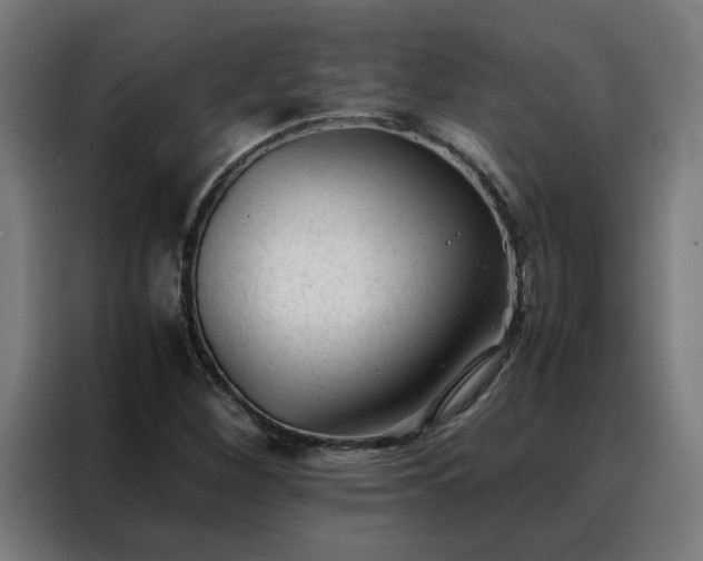 X0000088171260200705221614