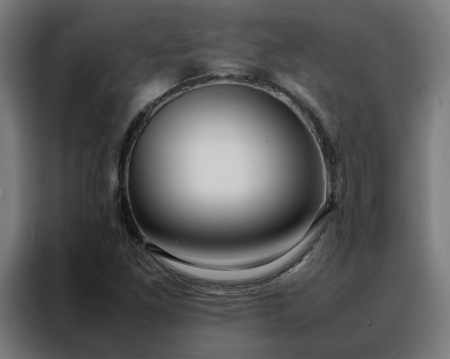 X0000088171261200705221614