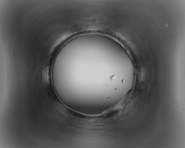 X0000088171262200705221614