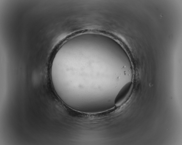 X0000088171263200705221614