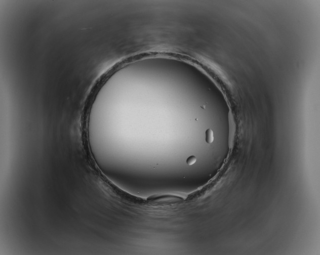 X0000088171264200705221614