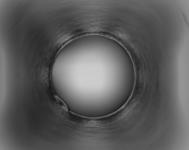 X0000088171265200705221614