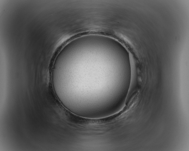 X0000088171267200705221614