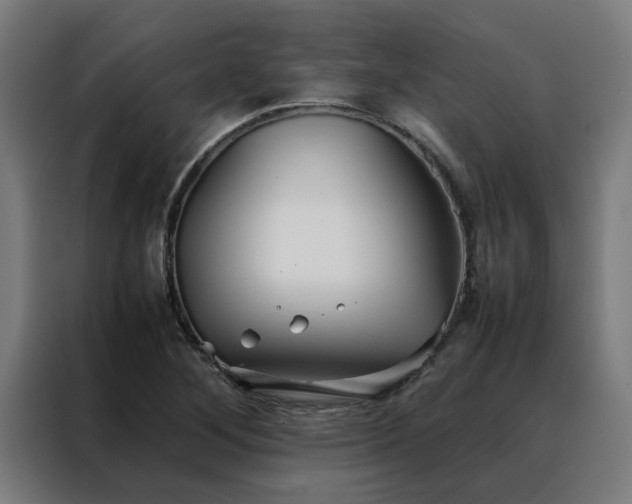 X0000088171268200705221614