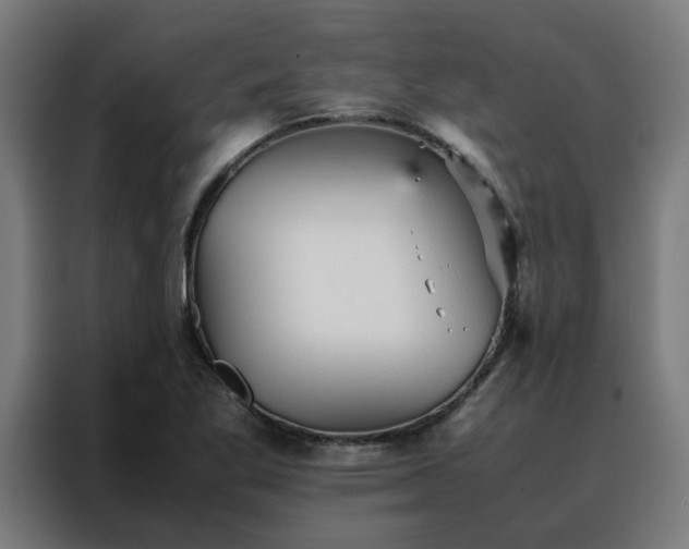 X0000088171269200705221614