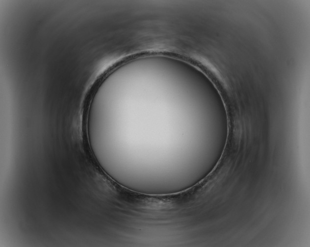 X0000088171270200705221614