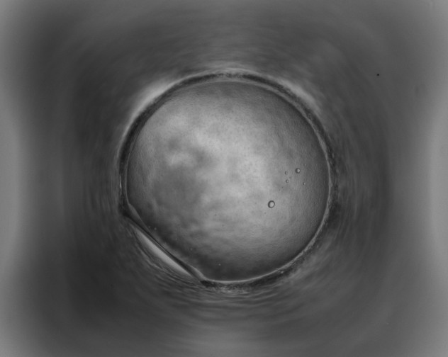 X0000088171271200705221614