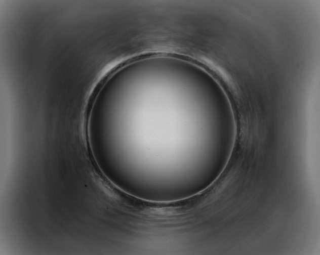 X0000088171272200705221614